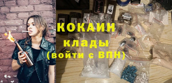 прущие грибы Аркадак
