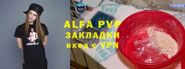 прущие грибы Аркадак