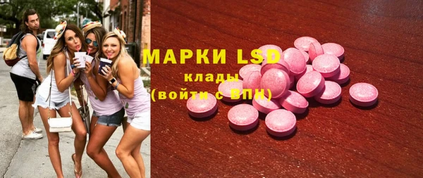прущие грибы Аркадак