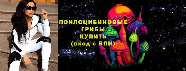 ГАЛЛЮЦИНОГЕННЫЕ ГРИБЫ Балахна