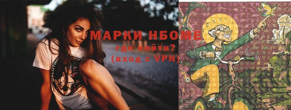 прущие грибы Аркадак