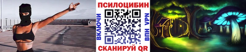 Купить где  Томмот  Галлюциногенные грибы Magic Shrooms 